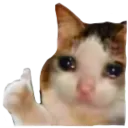 emoji_54