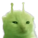glorp