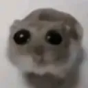 oh