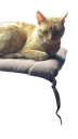 milky Discord Emoji from NitroLoot | Free Nitro Giveaways &  Community
