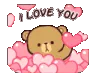 BearILY_OP
