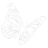 Whitebutterfly