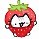 strawbewwy strawbewwy