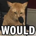 PS_CatWould