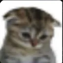 sadcat sadcat