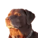 emoji_49