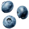 deco3_blueberries