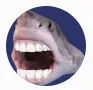 Screenshot20250621140614