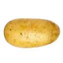 Potato