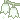 z002_greenflower