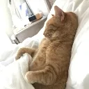 chilling