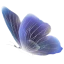 0_3Butterfly