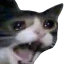 4318137catscream Discord Emoji - Real Eyes Realize Real Lies