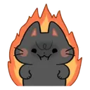 angrycat