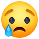 fb_cry