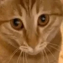 when_the