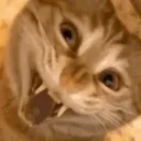 hah