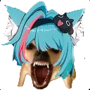MintDogs