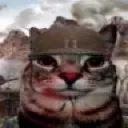thousandcatstare