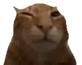 buh buh