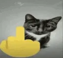 middlefingercat