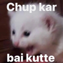 A white kitten with its mouth wide open in a screaming expression with text overlay.