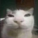 hmmm