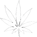 wweed