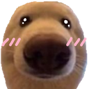 :dognau5: