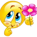 aflower4u