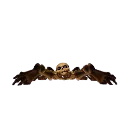 spider_skeleton