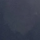 hornet_nesr