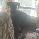 SIT_nova