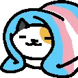 transneko