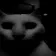 catdespair