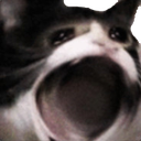 why Discord emoji