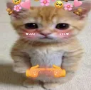 uwus uwus