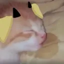 CerberSleep