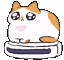RoombaCat