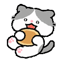 CatNom