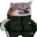 chilldoge