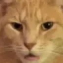 buh