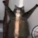 YAY