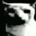 despaircat despaircat