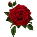 Marys_rose Discord emoji