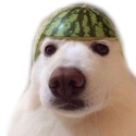 64017dogdua custom emote - Lovescape