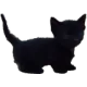 1301878650949468221