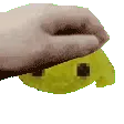 PetGort PetGort