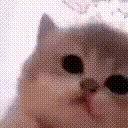:SpiderBilli: