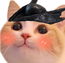 hunterCat Discord emoji
